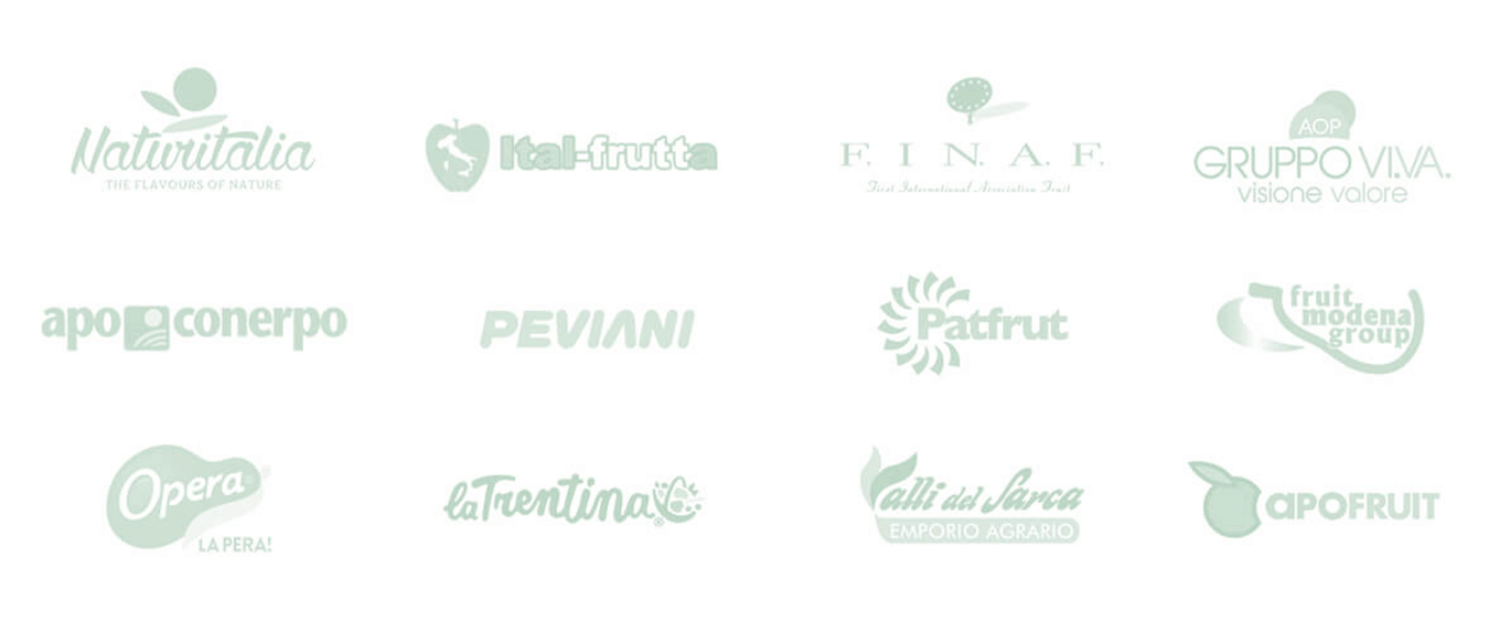 Naturitalia, Italfrutta, FINAF, Gruppo Vi.Va., ApoConerpo, Peviani, Patfrut, Fruit Modena Group, Opera, La Trentina, Valli del Sarca, Apofruit